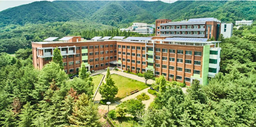 Study In south Korea