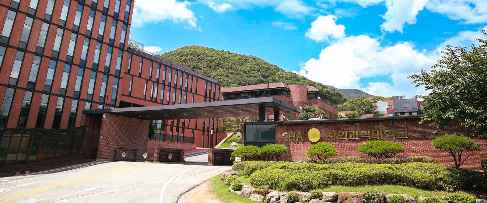 Study In South Korea
