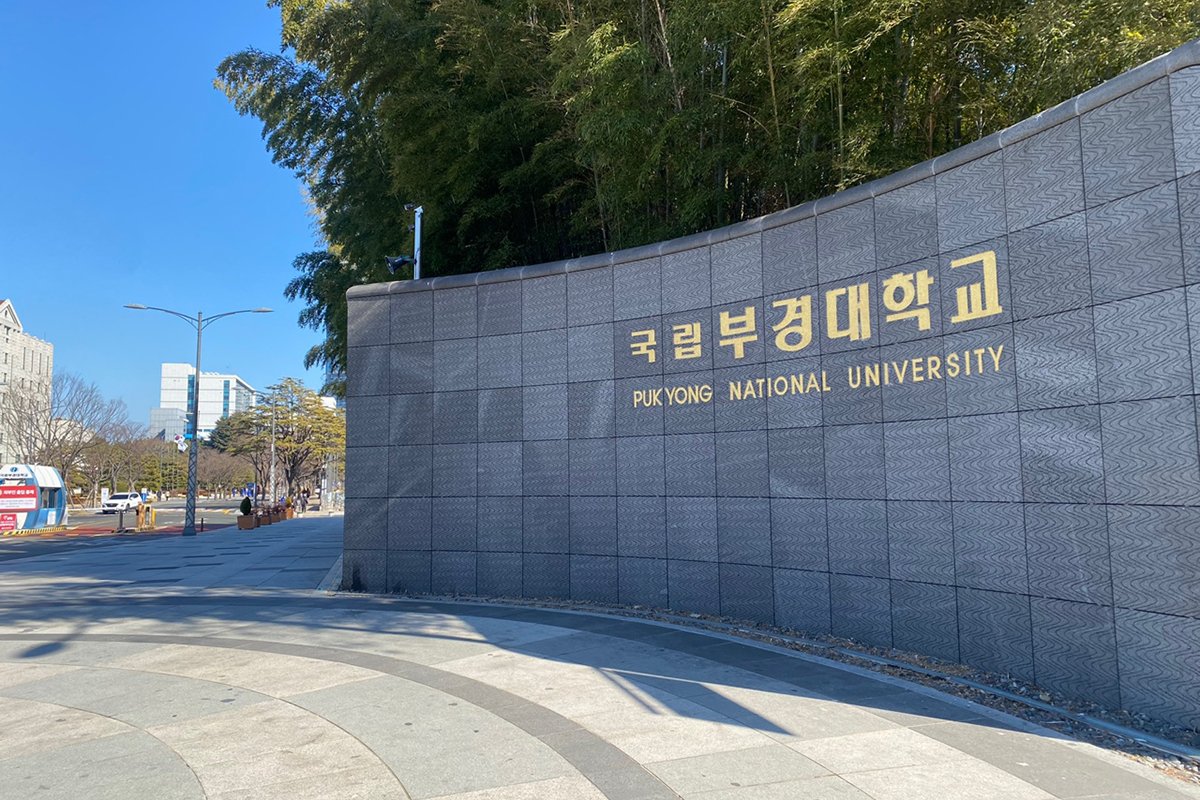 Study In South Korea